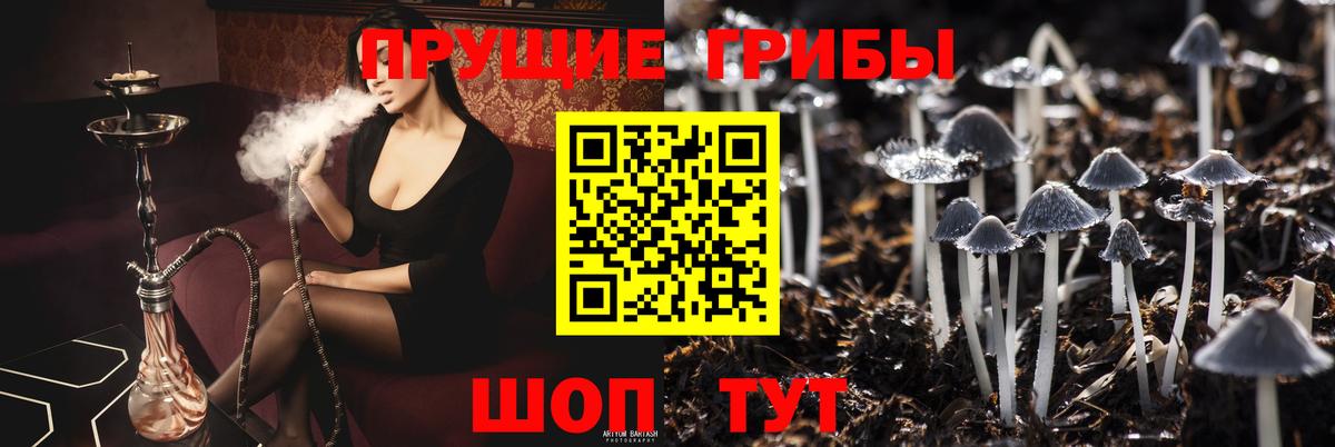 Галлюциногенные грибы MAGIC MUSHROOMS Москва
